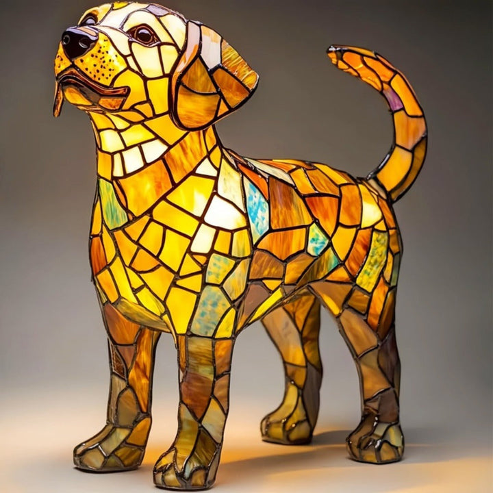 Labrador Traslucido